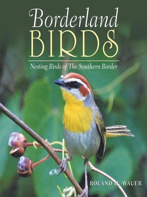 cover image of Borderland Birds